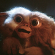Illustration for article titled Warner Bros. wants to reboot emGremlins/em because Mogwais